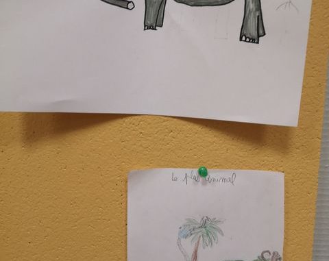 Photo 1 (2)_resultat
