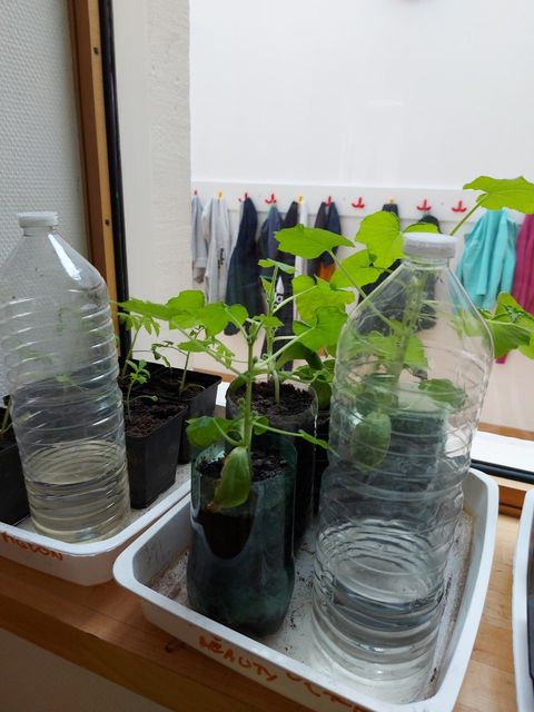 thumbnail_thumbnail_20220425_084923_resultat